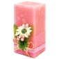 Свеча "Полевой цветок" Цвет: розовый, 13 см см Производитель: Китай Артикул: 0704GS100-P инфо 9976i.